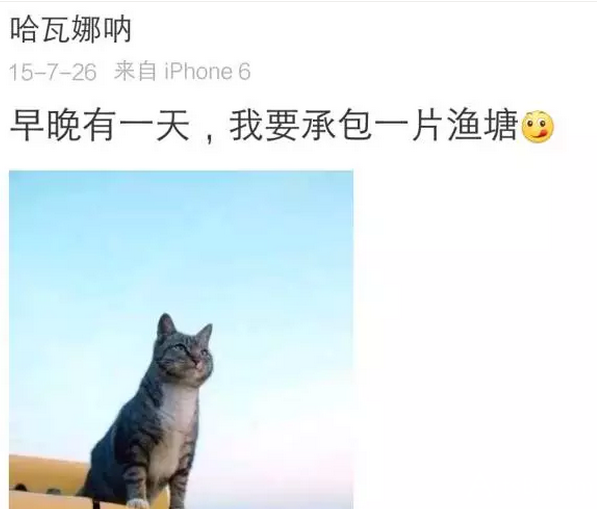 QQ截图20170830091601.png