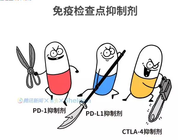 微信截图_20181002112207.png