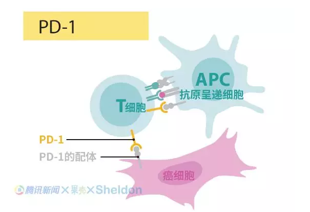 微信截图_20181002112306.png