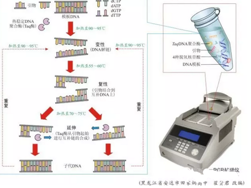 QQ截图20170524090202.png